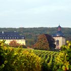 Schloss Vollrads im Rheingau (1)