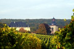 Schloss Vollrads im Rheingau (1)