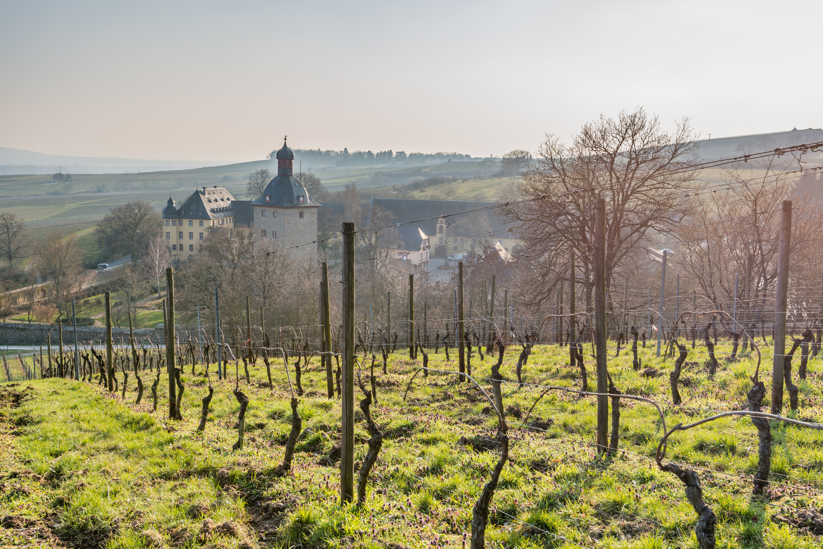 Schloss Vollrads im Rheingau 19