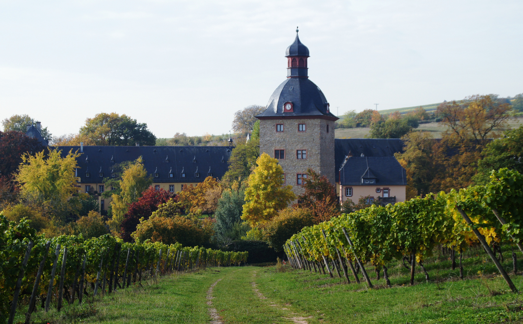 Schloss Vollrads im Rheingau (2)