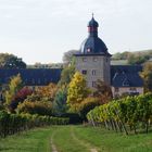 Schloss Vollrads im Rheingau (2)