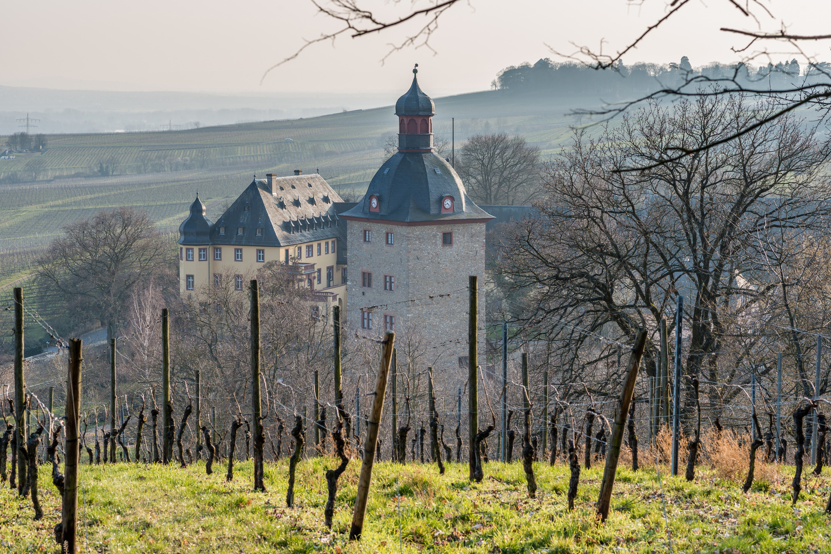 Schloss Vollrads im Rheingau 25