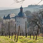 Schloss Vollrads im Rheingau 25