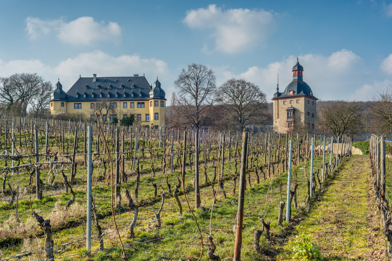 Schloss Vollrads im Rheingau 74