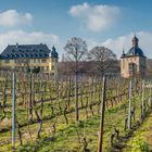 Schloss Vollrads im Rheingau 74