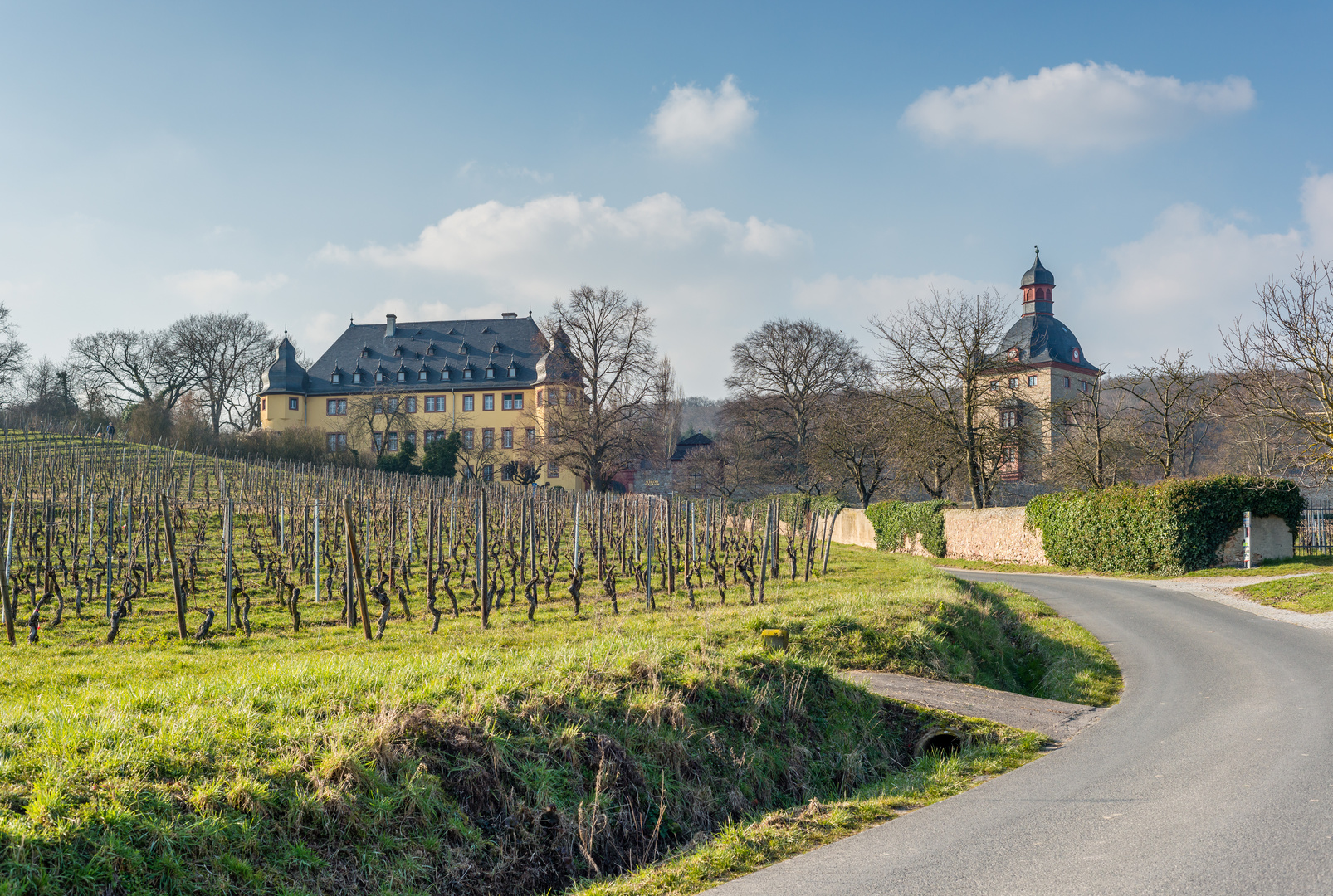 Schloss Vollrads im Rheingau 84