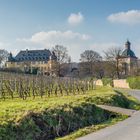 Schloss Vollrads im Rheingau 84