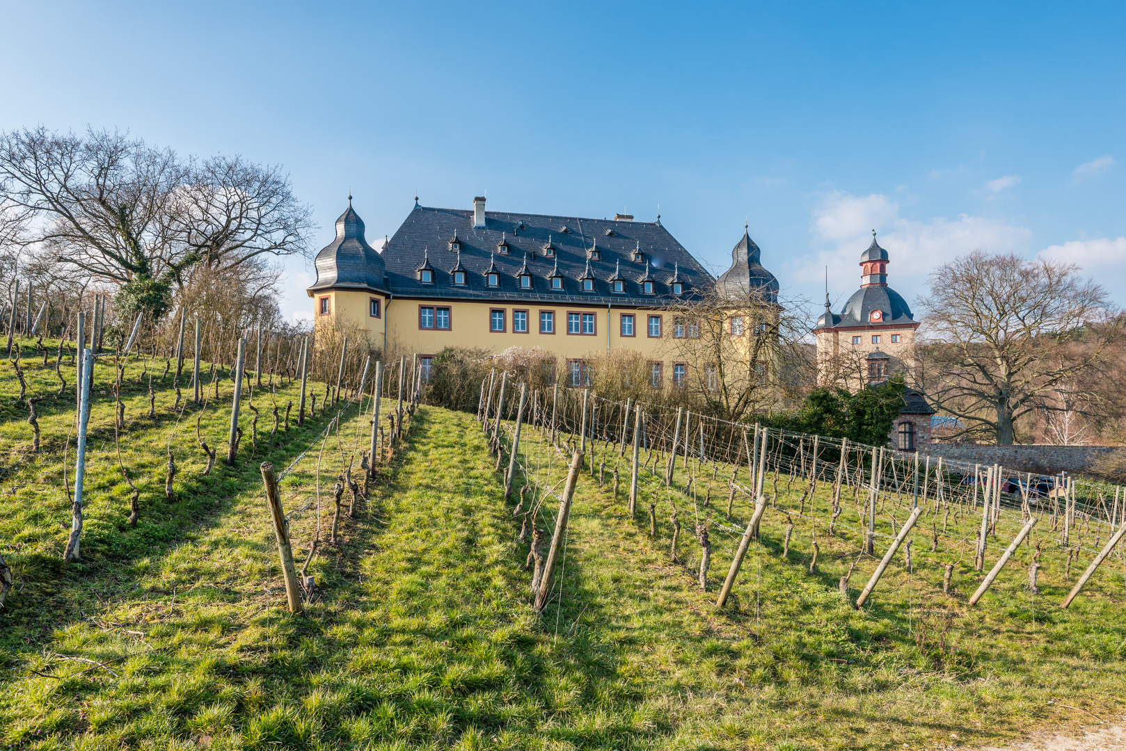 Schloss Vollrads im Rheingau 90