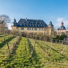 Schloss Vollrads im Rheingau 90