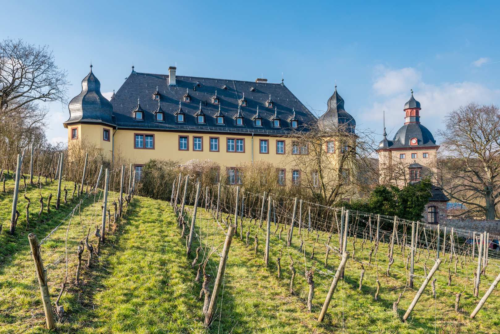 Schloss Vollrads im Rheingau 92