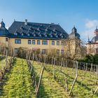 Schloss Vollrads im Rheingau 92