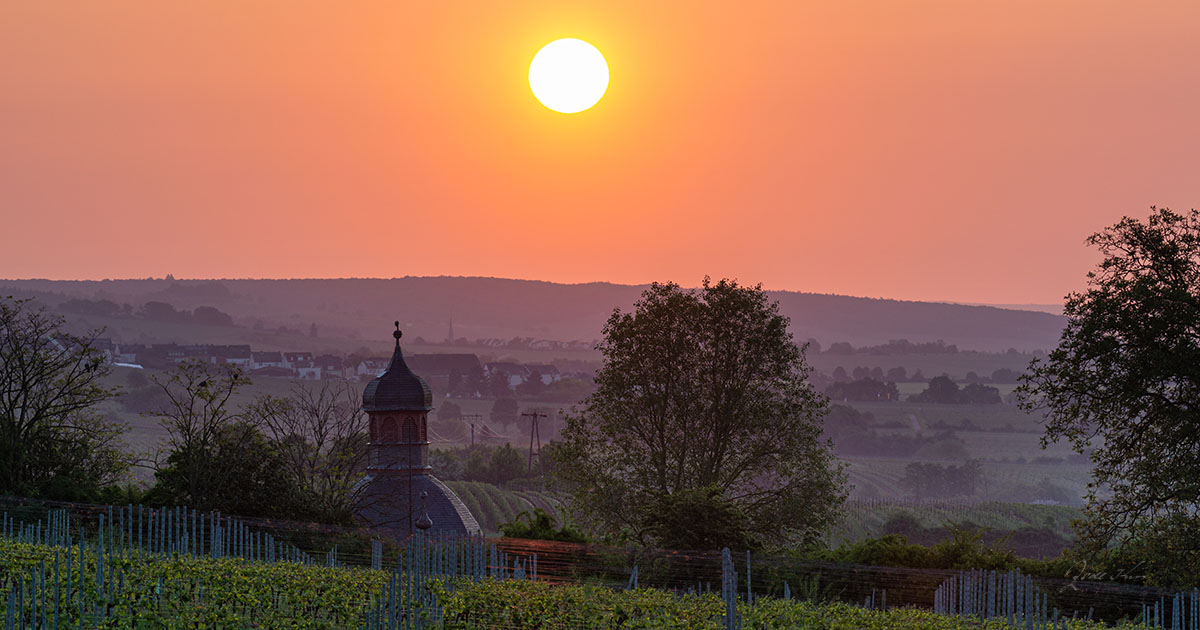 Schloß Vollrads, Rheingau, Wohnuturm