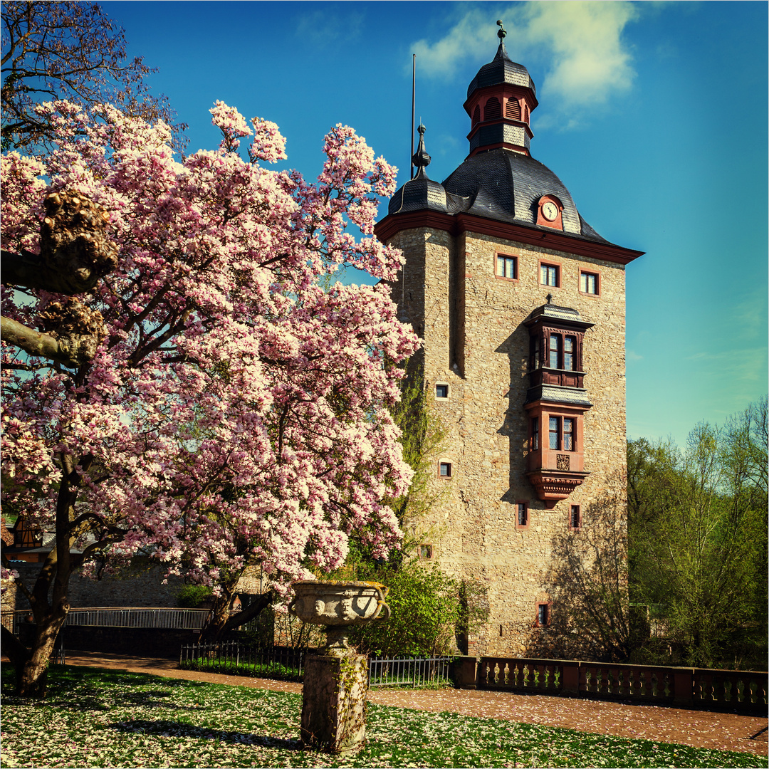 Schloss Vollrads - Wasserturm