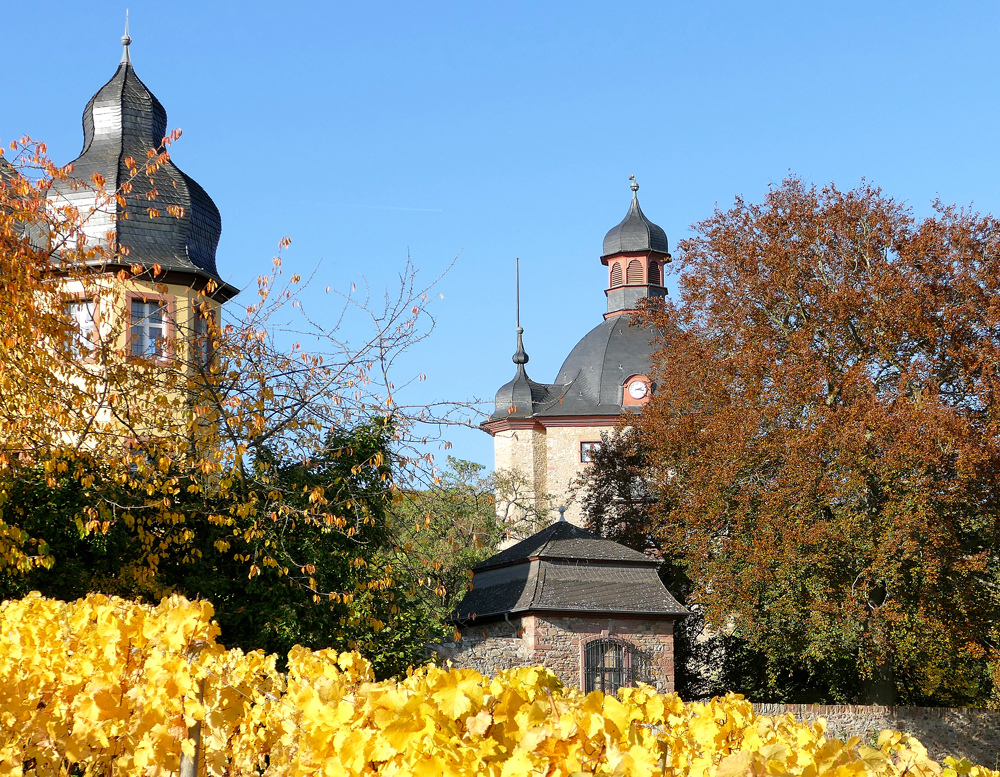 ...Schloss Vollrads...Rheingau...01