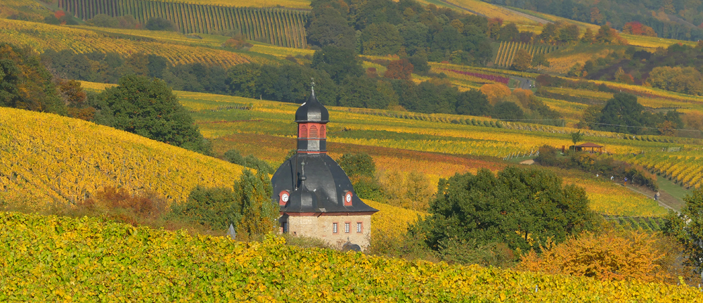 ...Schloss Vollrads...Rheingau...02