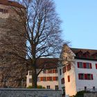 Schloss von Arbon