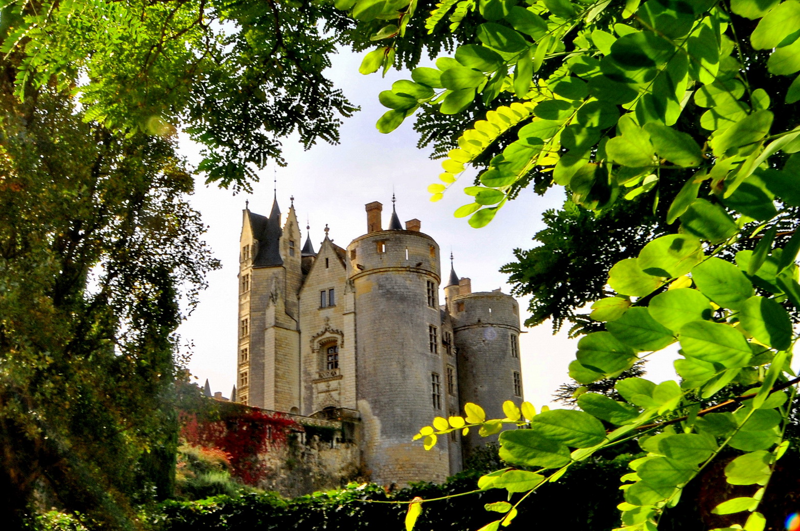 SCHLOSS VON MONTREUIL-BELLAY