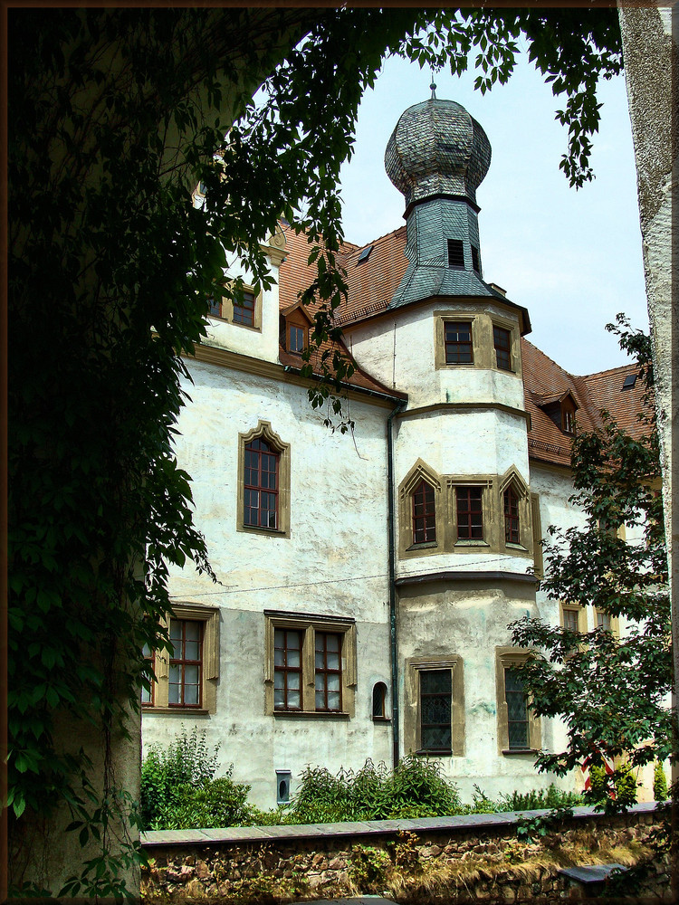 Schloss Vorder und Hinterglauchau 1