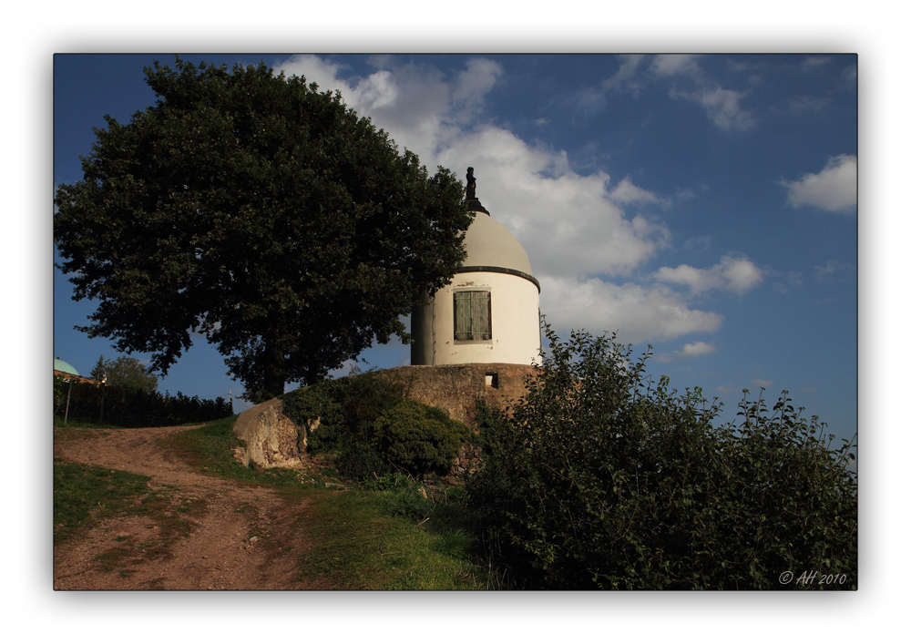 Schloss Wackerbarth 8