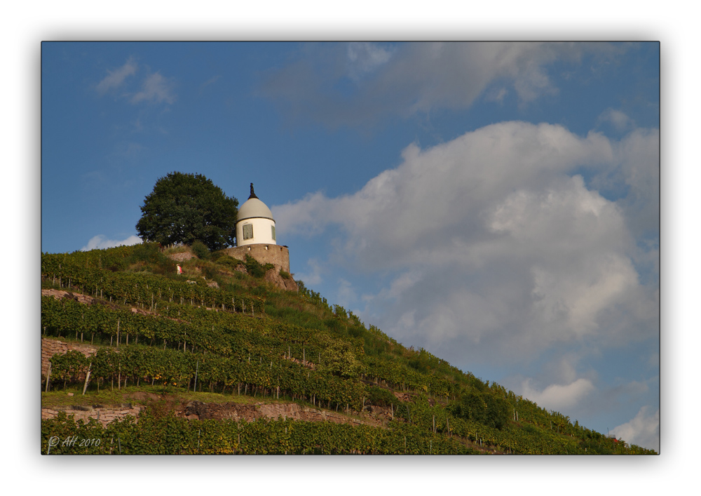 Schloss Wackerbarth 9