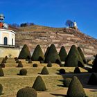 Schloss Wackerbarth