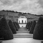 `Schloss Wackerbarth `in Radebeul