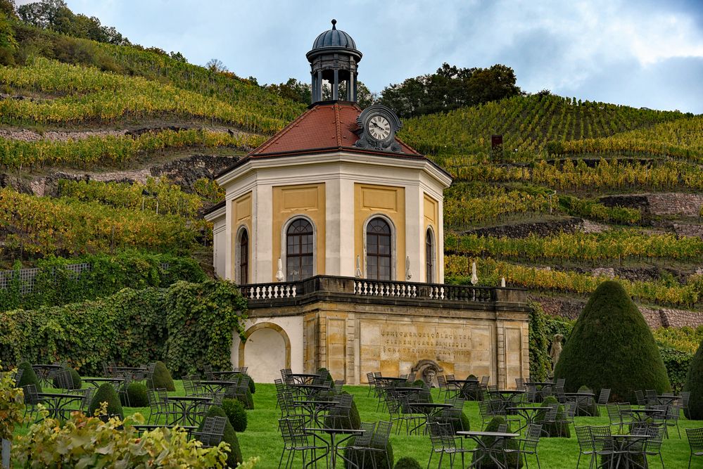 Schloss Wackerbarth Weinanbau - Belvedere -