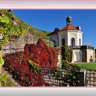 Schloss Wackerbath............, (das Belvedere im Herbstkleid)