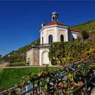 Schloss Wackerbath..........., (das Belvedere im Herbstkleid)