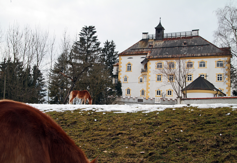 Schloß Wagrain