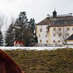 Schloß Wagrain