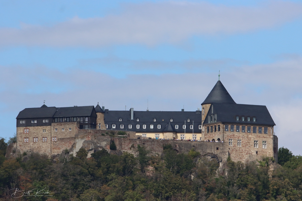 Schloss Waldeck