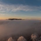 Schloss Waldeck im Winter im Nebel 