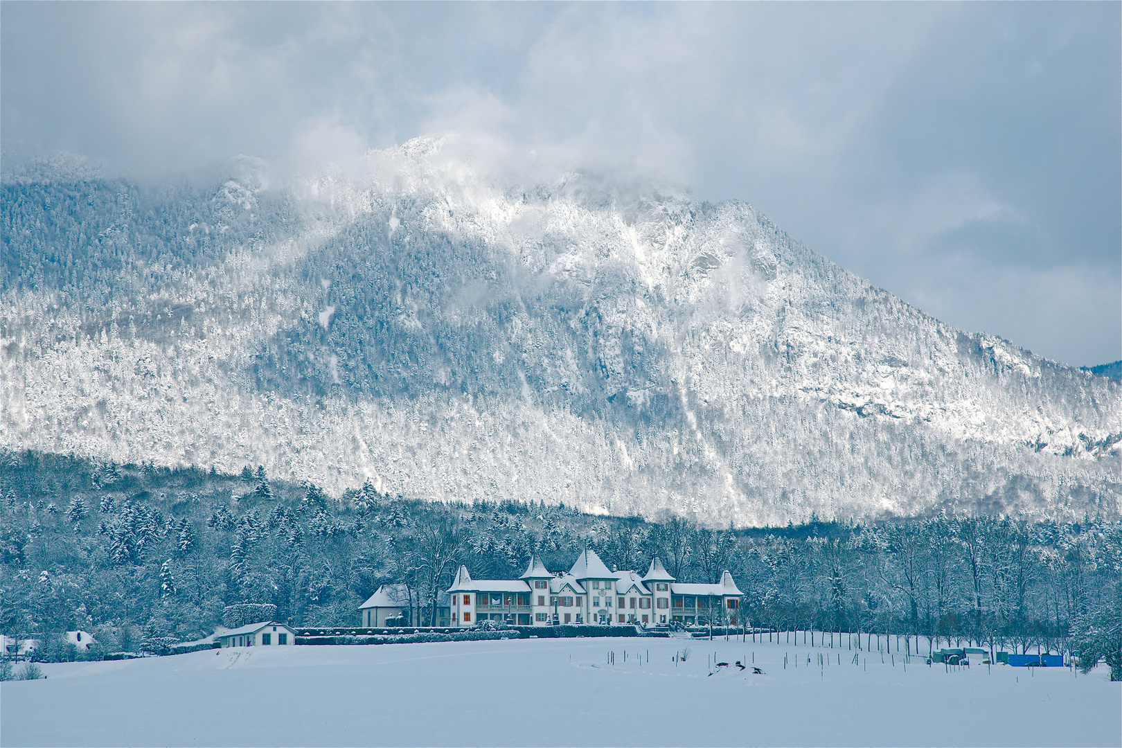 Schloss Waldegg im Winter