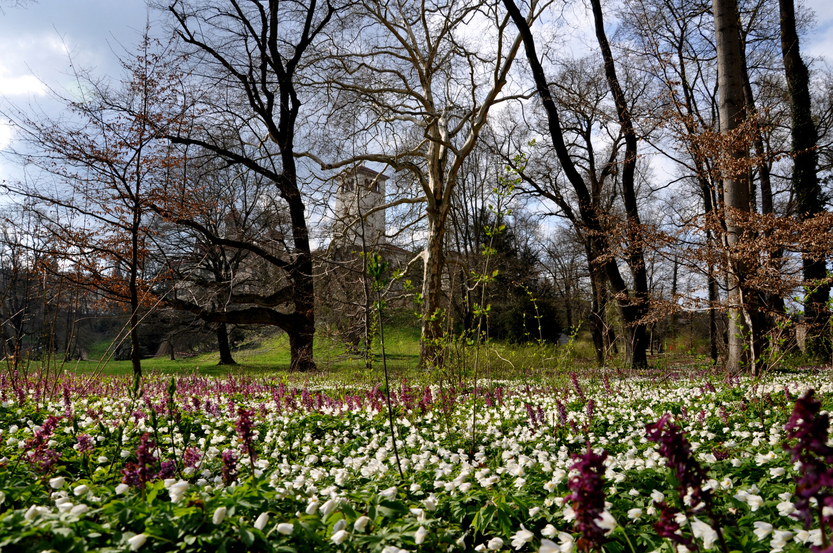 Schloss Waldenburg im Frühling~~~~Nr.: 6