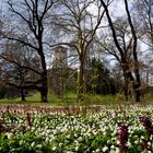 Schloss Waldenburg im Frühling~~~~Nr.: 6