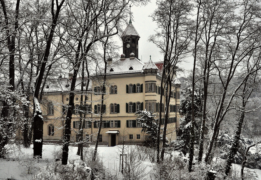 ..........::::::::::::::::::: Schloss Waldenburg / Sachsen ::::::::::::::::::..........