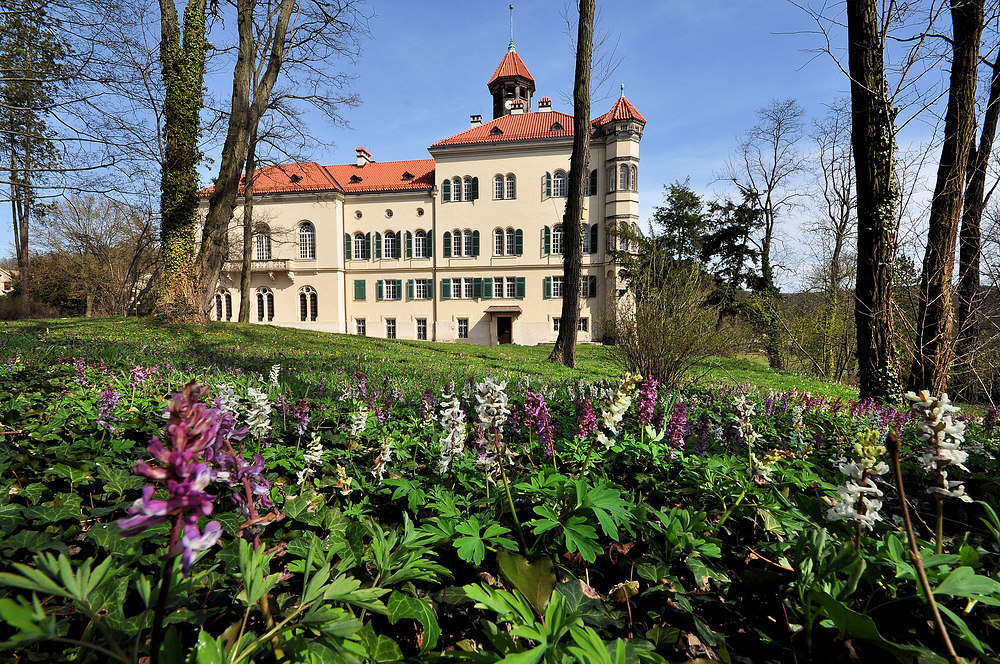 ..................:::::::::::::::::: Schloss Waldenburg/Sachsen :::::::::::::::::.................