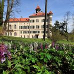 ..................:::::::::::::::::: Schloss Waldenburg/Sachsen :::::::::::::::::.................