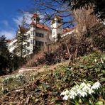 ............:::::::::::::::::: Schloss Waldenburg/Sachsen :::::::::::::::::..........