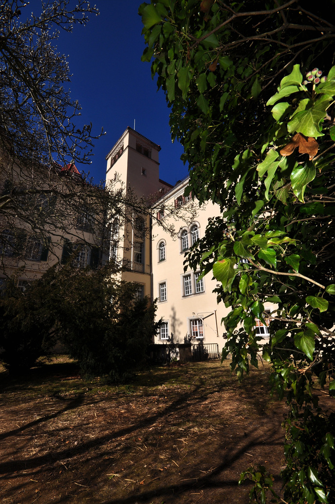 ...........:::::::::::::::::: Schloss Waldenburg/Sachsen :::::::::::::::::..........