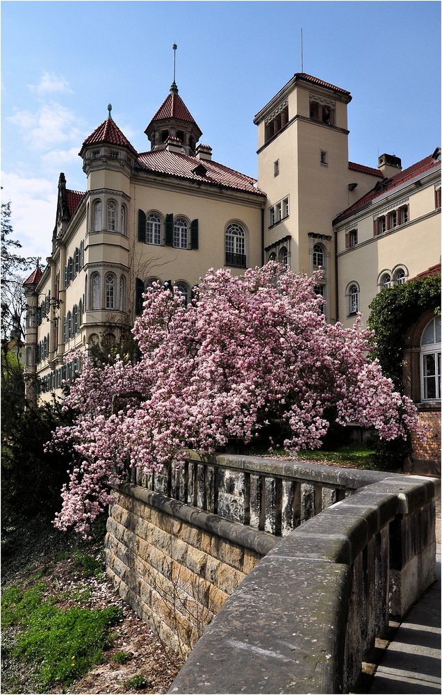 .............:::::::::::::::::. Schloss Waldenburg/Sachsen .:::::::::::::::::::.............