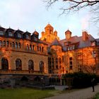 Schloss Waldthausen im Sonnenuntergang II