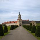 Schloss Wallsee