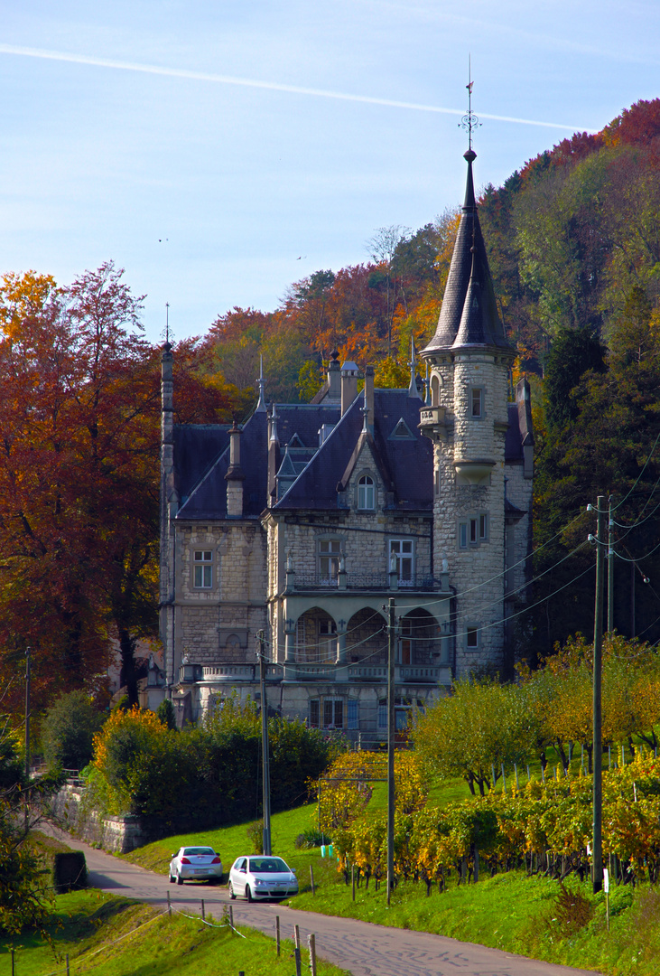 Schloss Wart Neftenbach