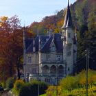Schloss Wart Neftenbach