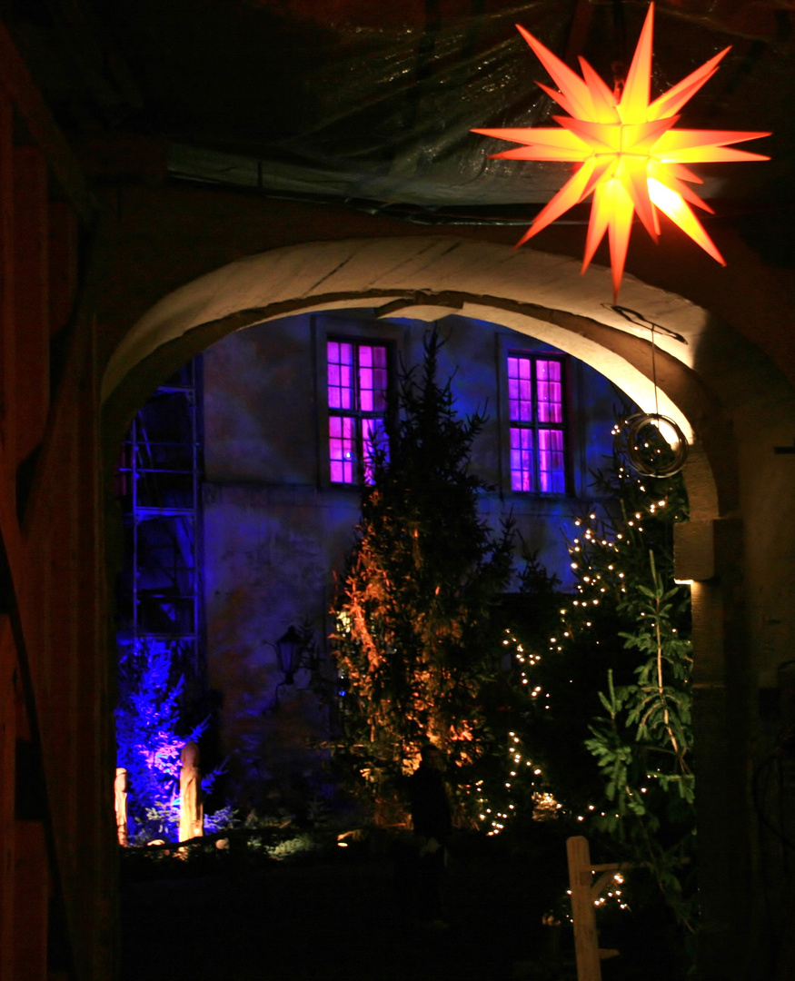 Schloss - Weihnacht (1)