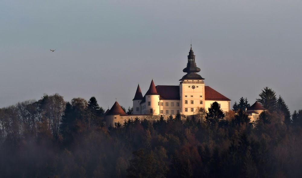 Schloss Weinberg