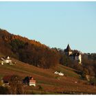 Schloss Weinfelden im Herbst