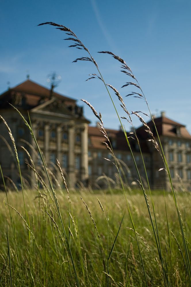 Schloß Weissenstein III